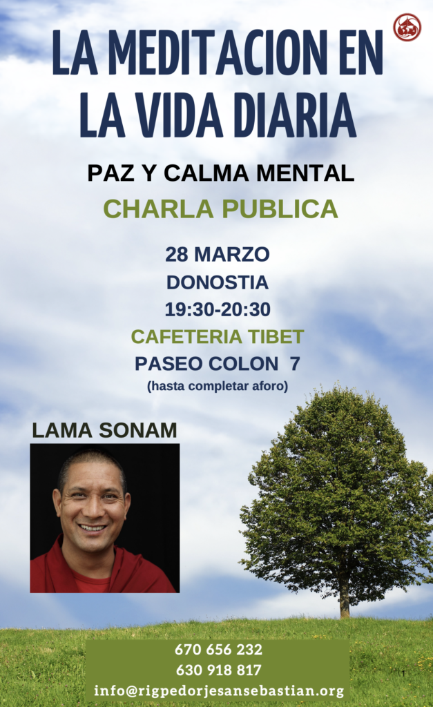Charla meditacion en la vida diaria PradanaVital